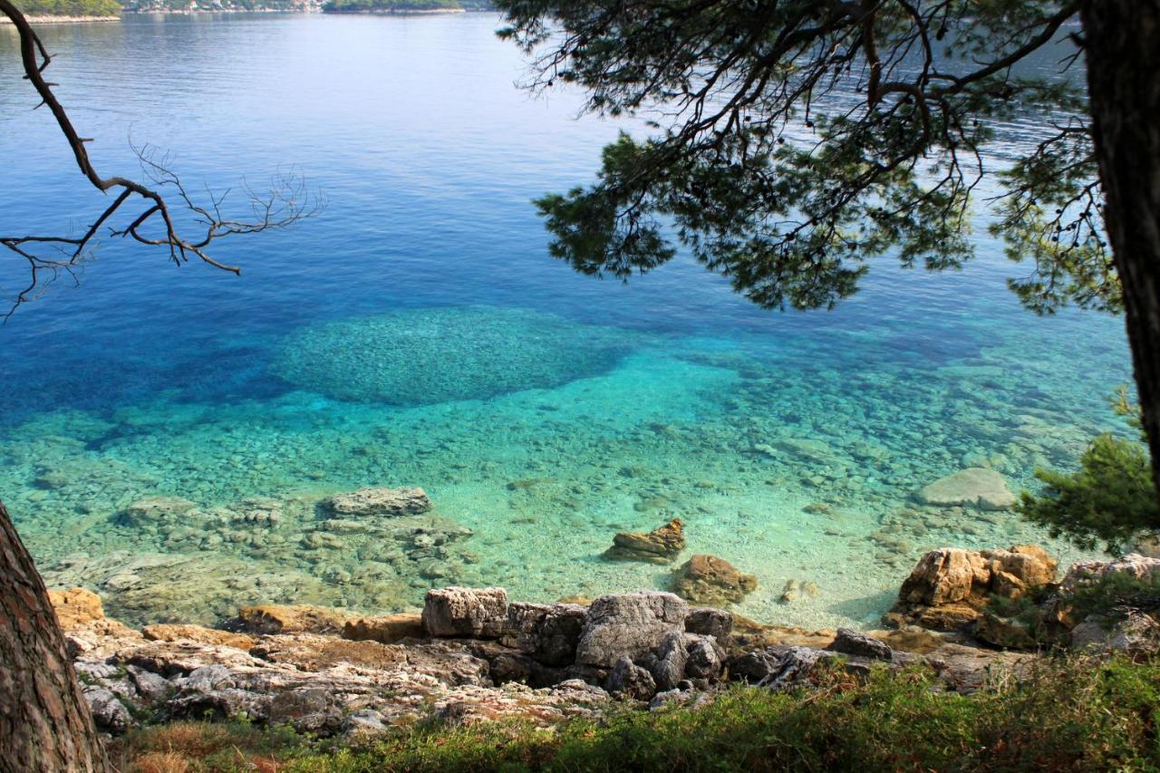 Apartments By The Sea Ubli, Lastovo - 8354 Uble Exterior photo